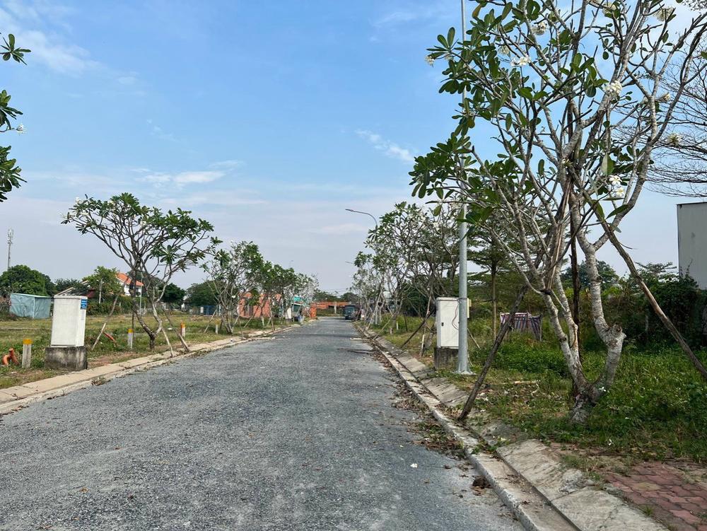 Đường nội khu đã cán nhựa với hàng cây và trụ đèn