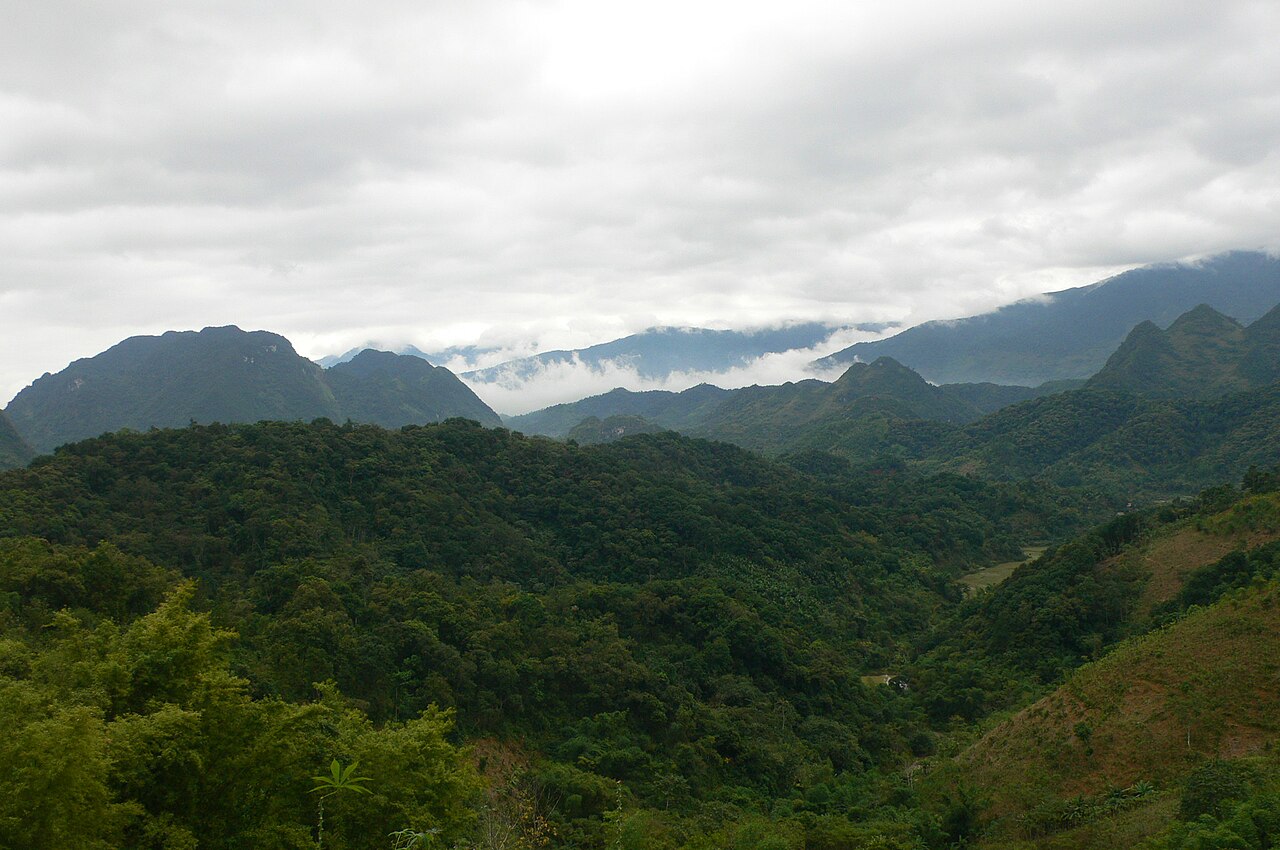 VIETNAM JUNGLE MARATHON - cảnh quan