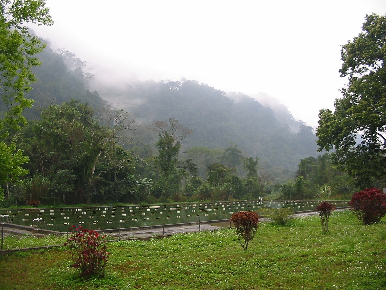 Giải chạy Cuc Phuong Jungle Paths 2026 - cảnh quan