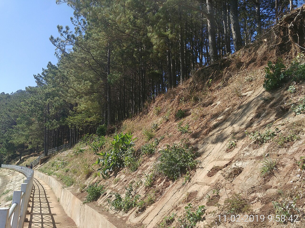 GIA LAI CITY TRAIL - GIẤC MƠ ĐẠI NGÀN 2026 - cảnh quan
